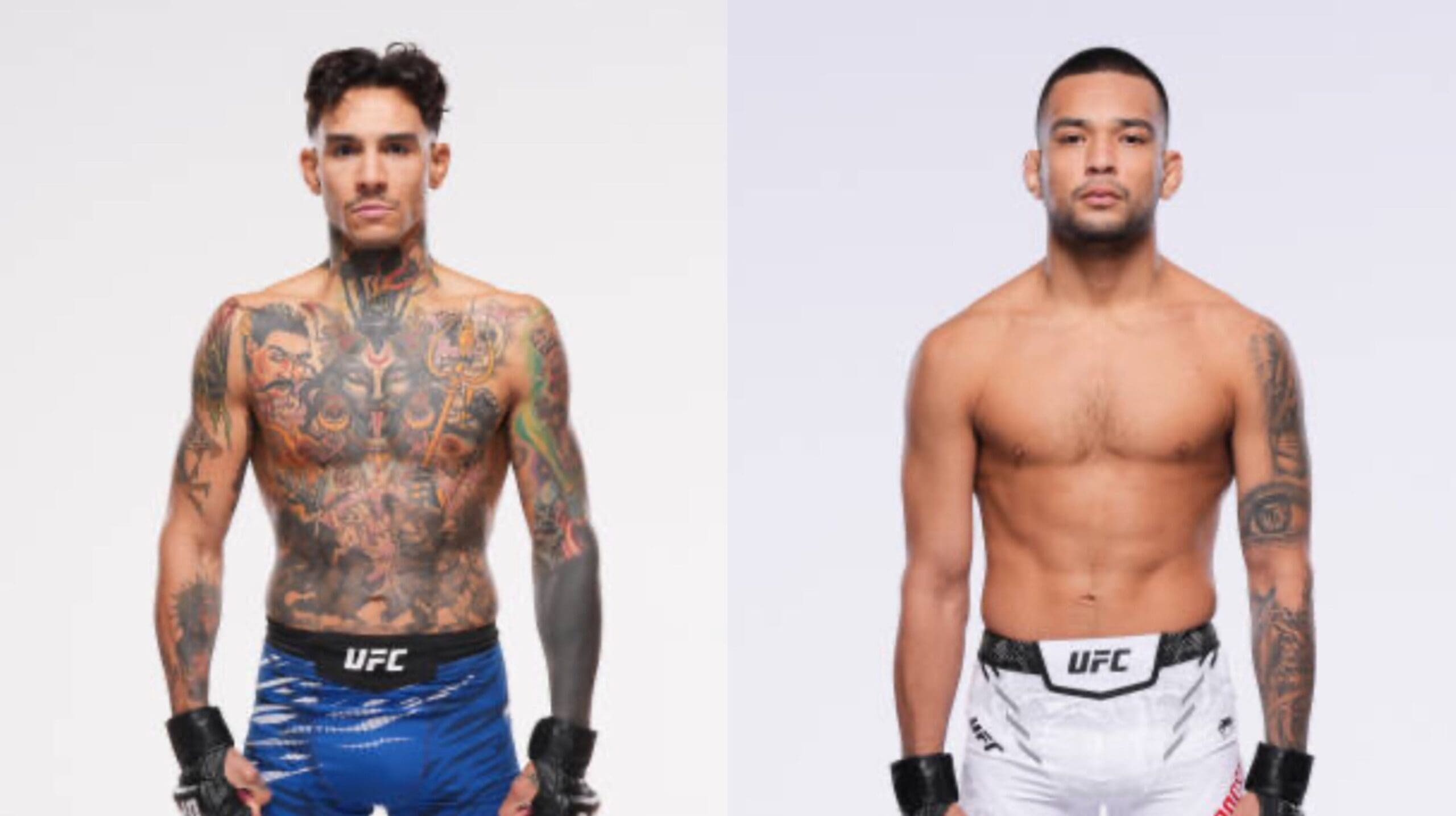 UFC Fight Night – Andre Fili vs Christian Rodriguez: Preview & Betting Tips