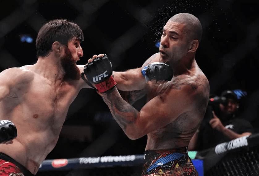 Ankalaev Backed To Beat Pereira Again