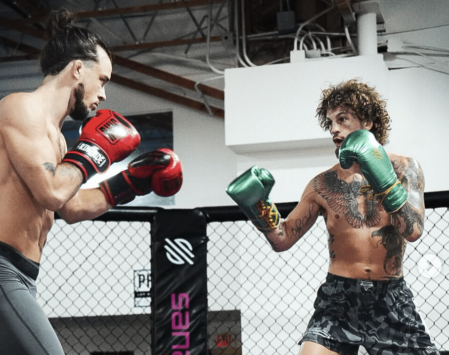 O'Malley Admits Trying To Emulate McGregor – ‘I Got Lost'