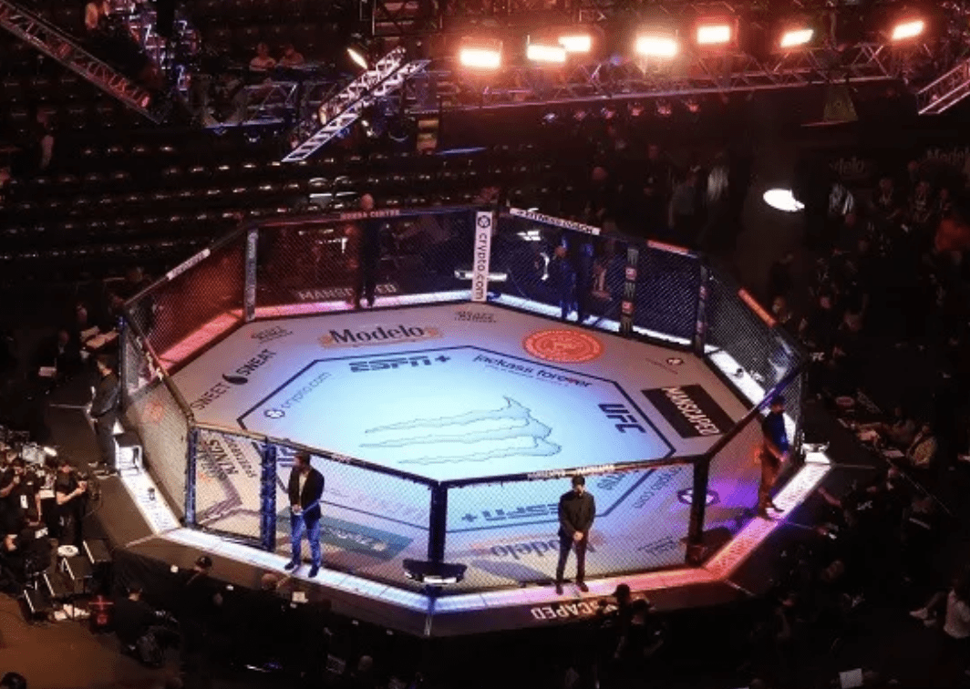 Should UFC Rio Go Ahead After ‘Health' Warning?