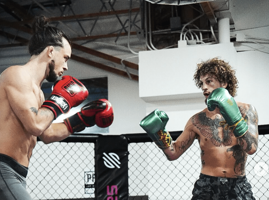 When Will Sean O’Malley Return?