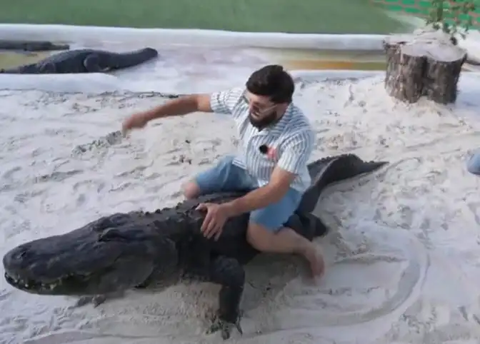 Arman Stuns Fans By ‘Choking' Crocodile