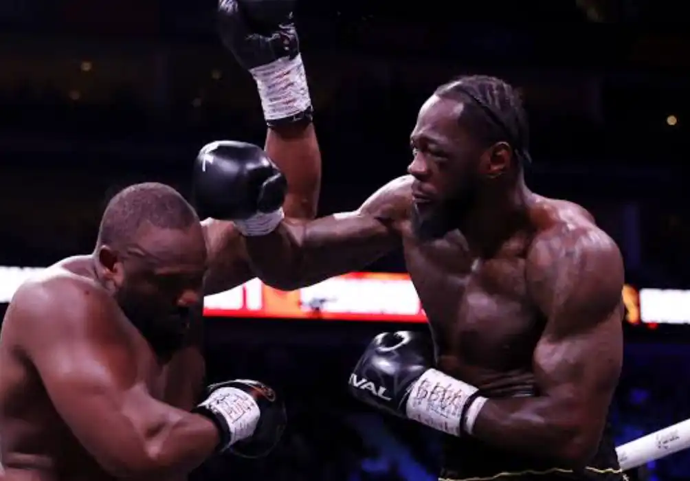Chisora Wants The Wilder Rematch