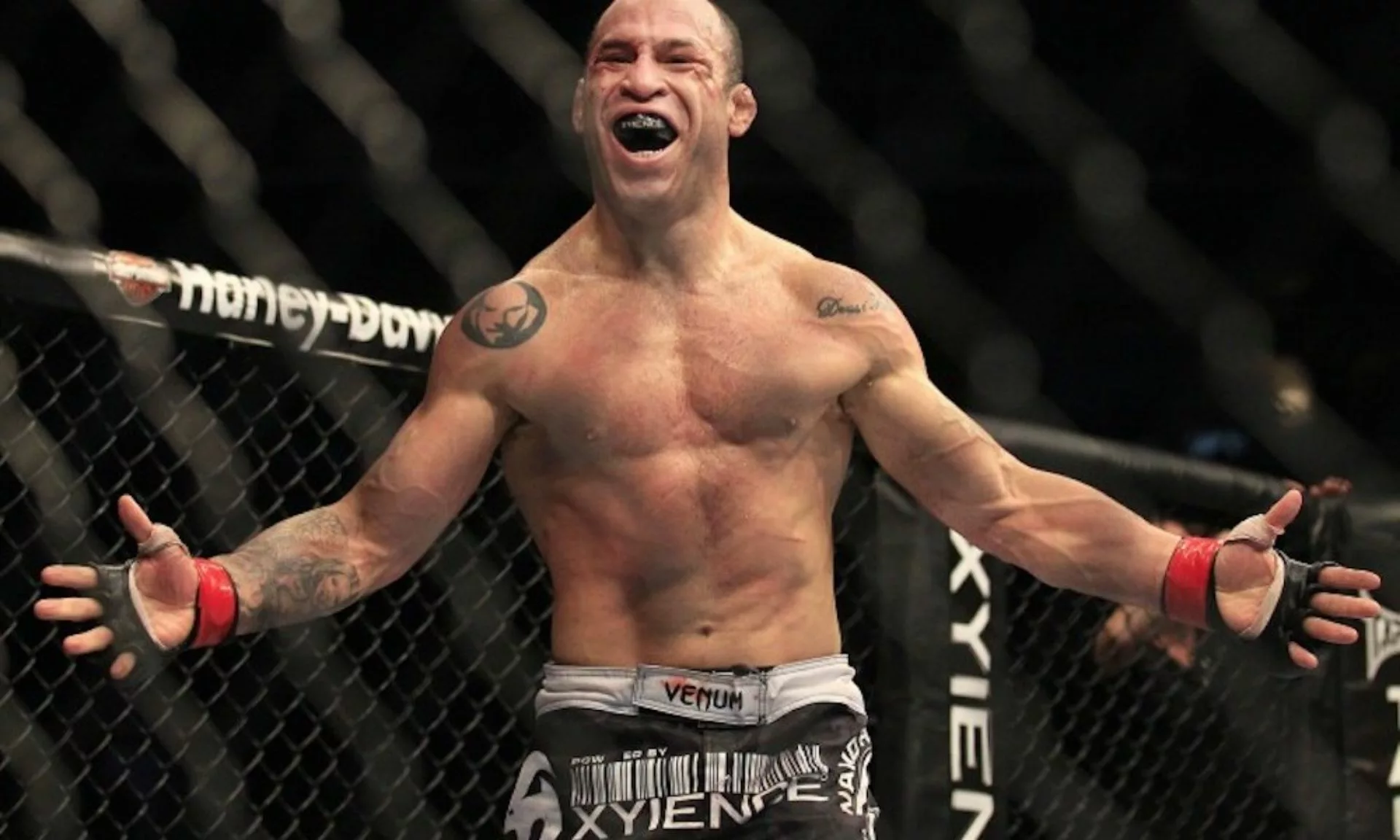 Image of Wanderlei Silva in Octagon